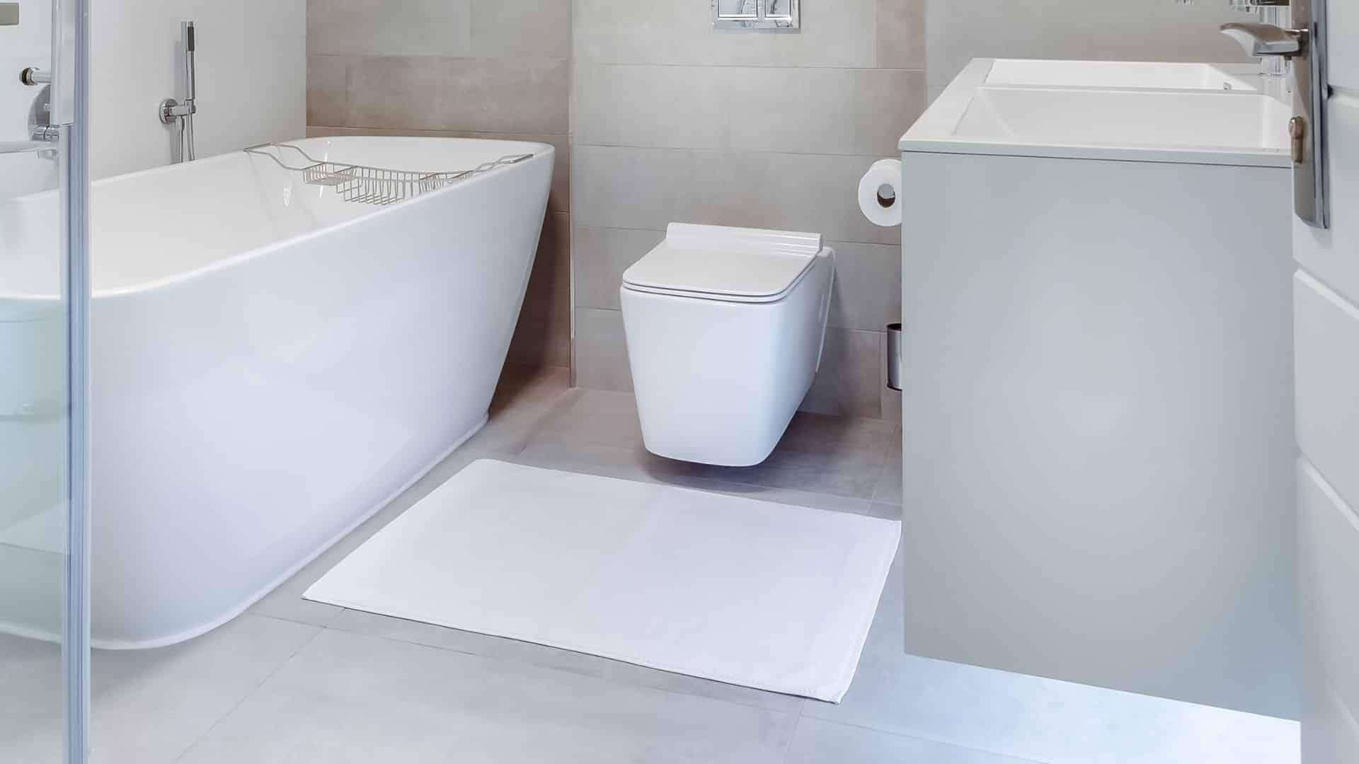 Wall Mounted Toilet