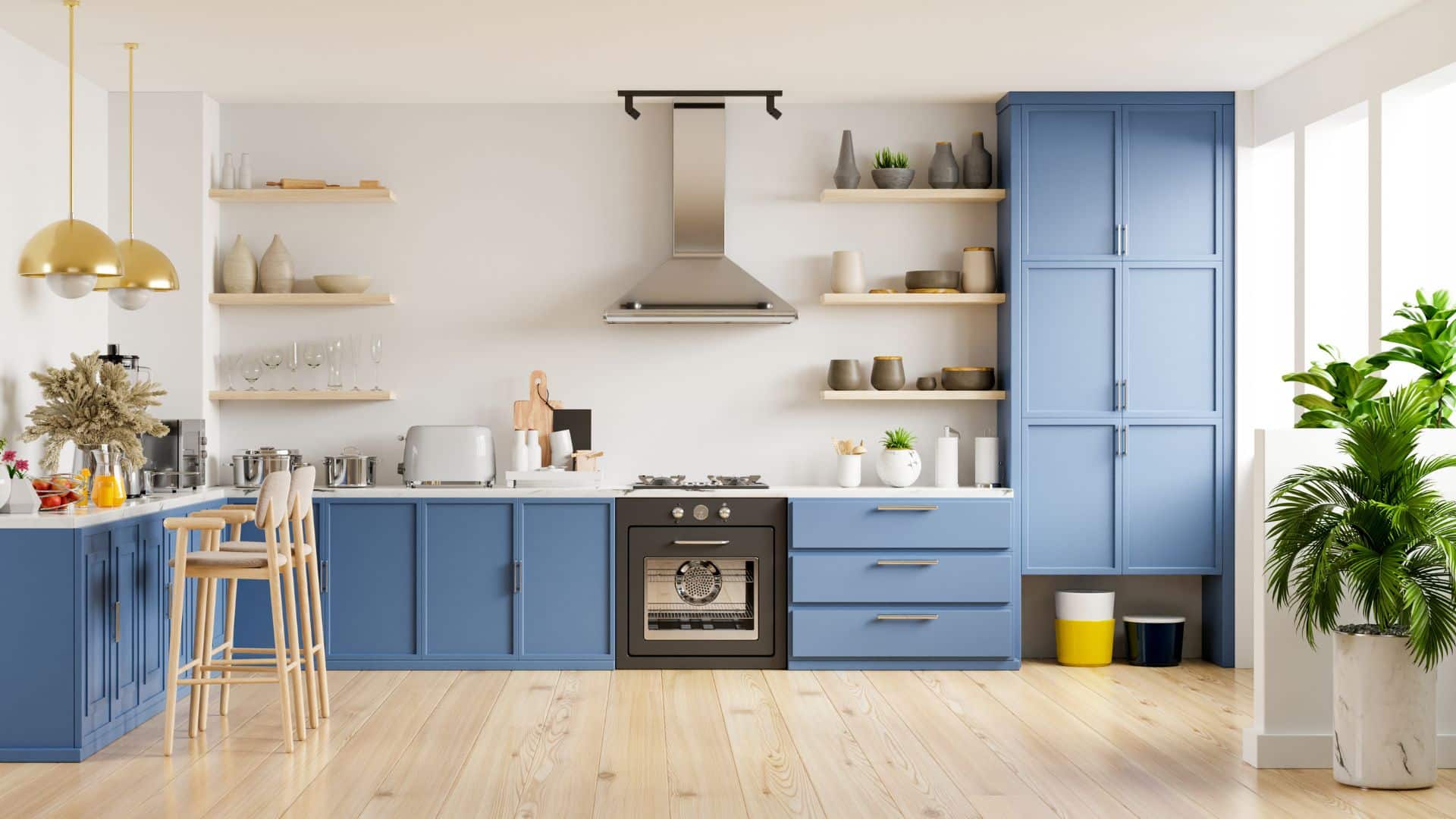 Frameless European Cabinets