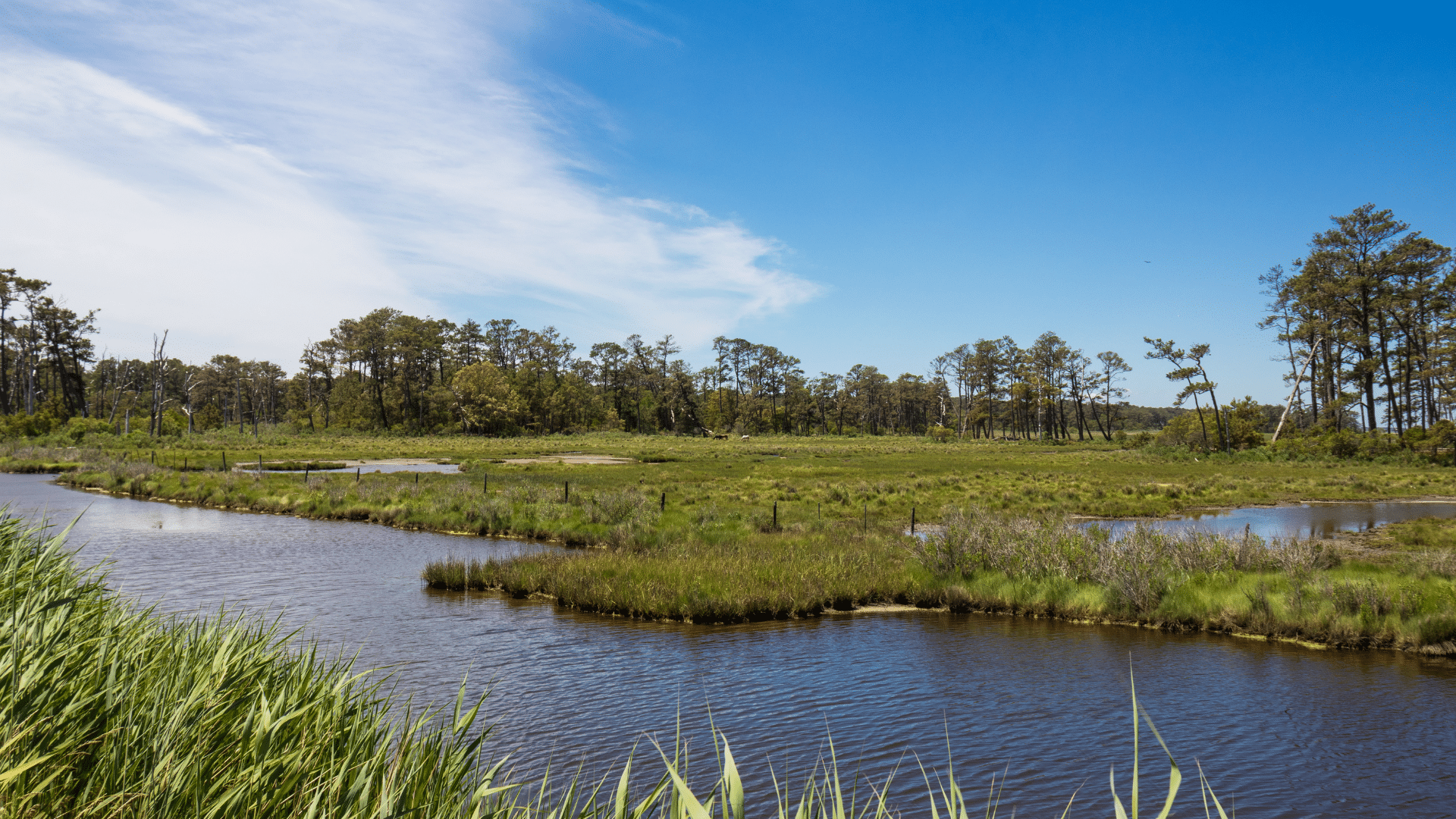 20 Best Places To Visit In Virginia 10 Chincoteague National Wildlife Refuge