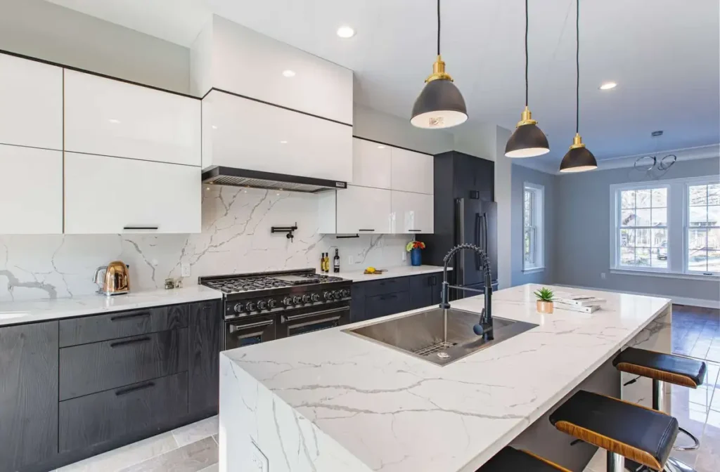 DIY Kitchen Cabinets: How to Build and Install Your Own Cabinets 1 Embracing Modern Sophistication with Black and White Kitchen Design 1